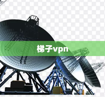 梯子vpn