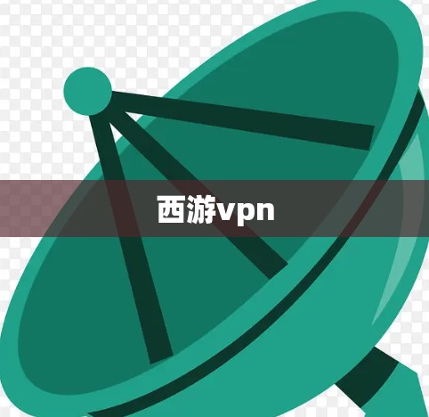 西游vpn