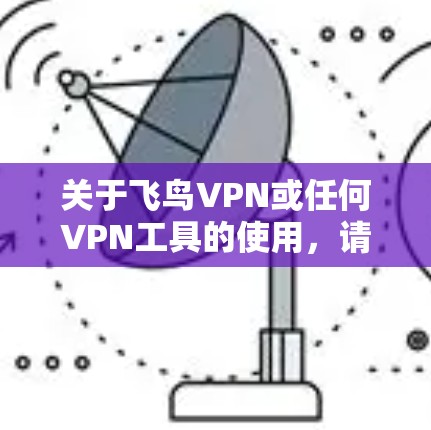 关于飞鸟VPN或任何VPN工具的使用，请注意以下几点重要信息