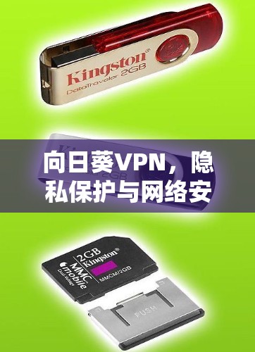 向日葵VPN，隐私保护与网络安全的新选择