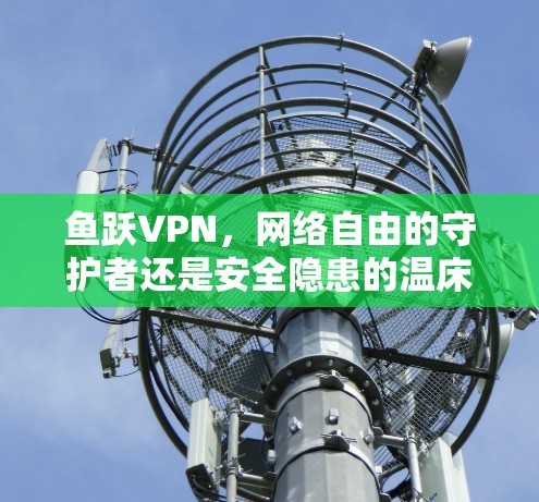 鱼跃VPN，网络自由的守护者还是安全隐患的温床？