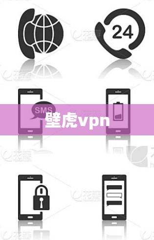 壁虎vpn