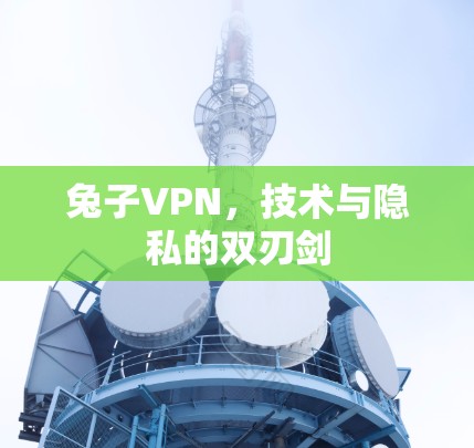 兔子VPN，技术与隐私的双刃剑