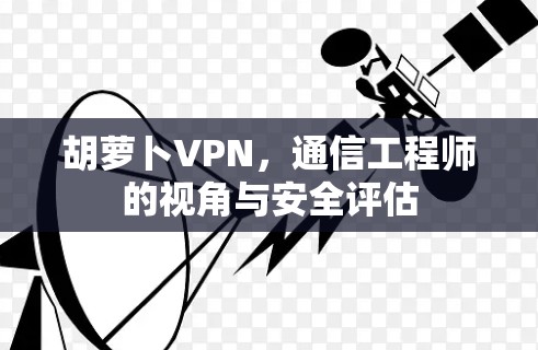 胡萝卜VPN，通信工程师的视角与安全评估