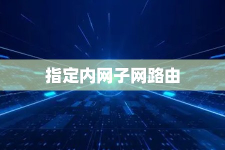 指定内网子网路由