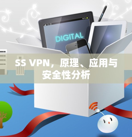 SS VPN，原理、应用与安全性分析