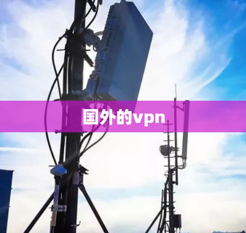 国外的vpn