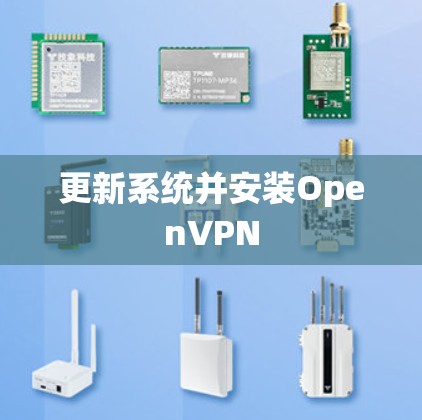 更新系统并安装OpenVPN