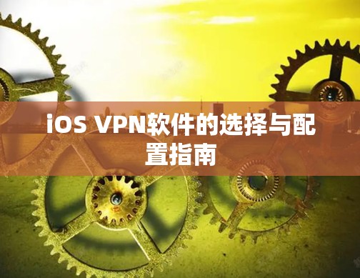 iOS VPN软件的选择与配置指南