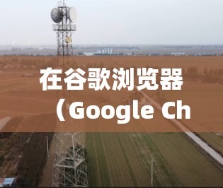 在谷歌浏览器(Google Chrome)中使用VPN,通常有以下几种方法和注意事项